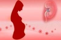 Εγκυμοσύνη και νεφρική ανεπάρκεια