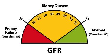 Νεφρική Λειτουργία - GFR